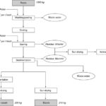 CASSAVA standard harvest