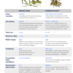 comparitive crop analysis