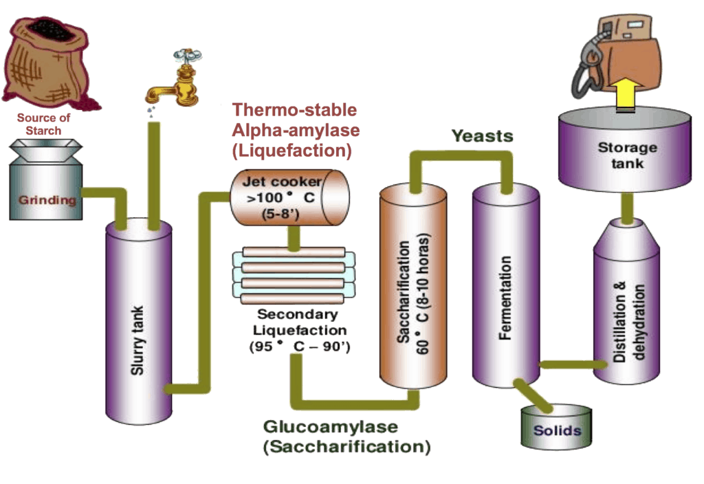 Ethanol Process Cassava Development Authority