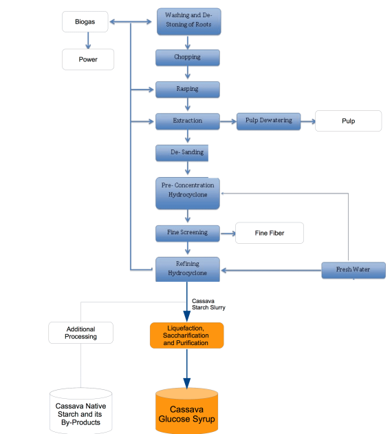 Cassava Process1 Cassava Process1